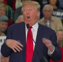 trump as disabled
