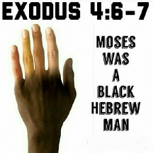 exodus - moses is Black