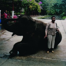 leanora henry in indonesia