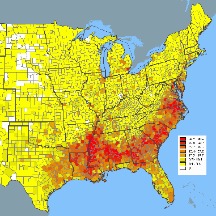 united states black popoulation