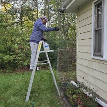 wayne cleaining mildew on house